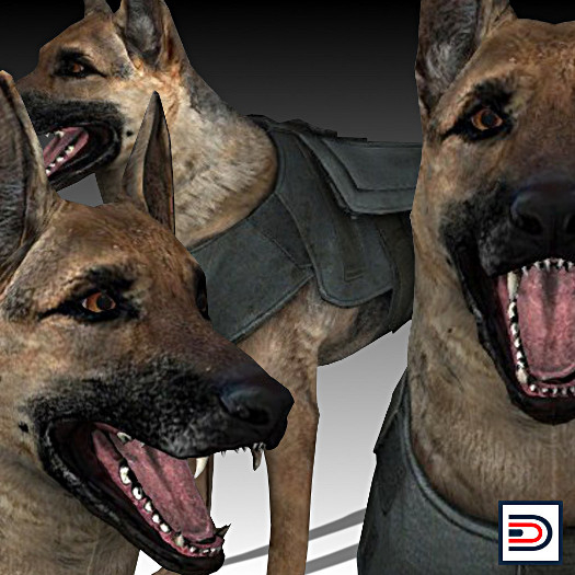 [Danielito] Military Dog