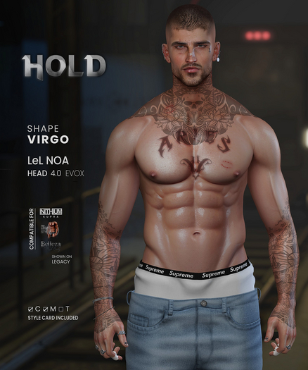 HOLD SHAPES - Virgo - Shape LeLUTKA Noa 4.0 EVOX/LEG/JAK/KAR