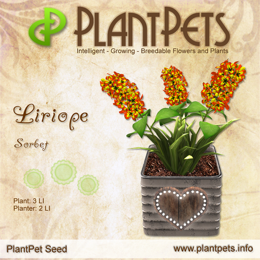 PlantPet Seed [Liriope *Sorbet*] Rare