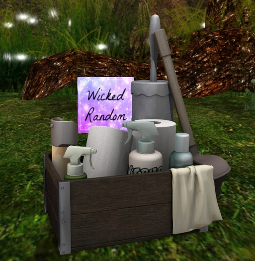 Second Spaces - Bathroom Clutter - clean up