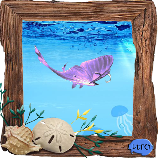 (7S) Uncommon Fish: Butterflyfish Light