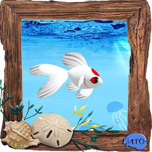 (7S) Uncommon Fish: Tancho Goldfish