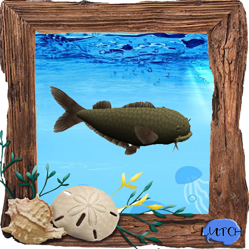 (7S) Uncommon Fish: Yellow Catfish