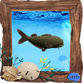 (7S) Uncommon Fish: Yellow Catfish