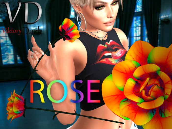 VD #035 Rose Rainbow Add