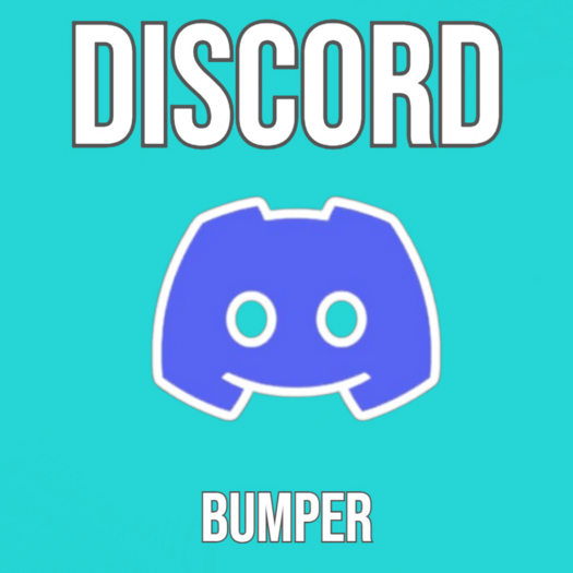 Discord // Bumper 