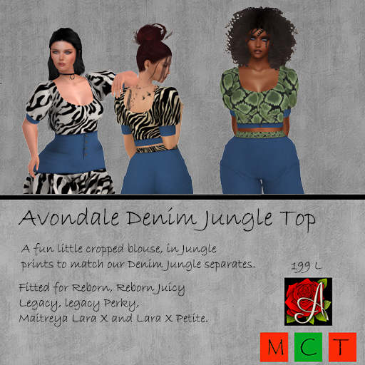 Avondale Denim Jungle Top