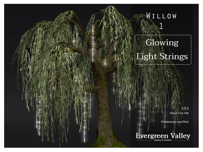 Willow