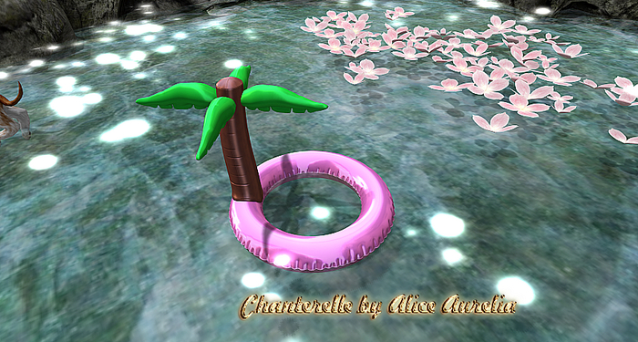 6 DUST: Palm Floatie