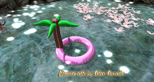 6 DUST: Palm Floatie