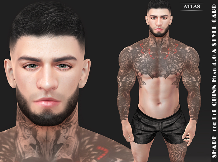 *ATLAS* SHAPE DRED for LeL QUINN Head 4.0 & STYLE CARD