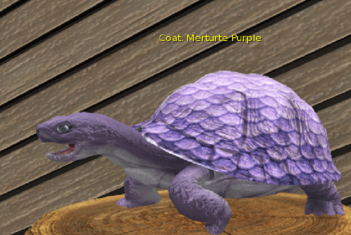 Foxtrot Box Turtle Merturtle Purple Pixie Male Breedable Egg