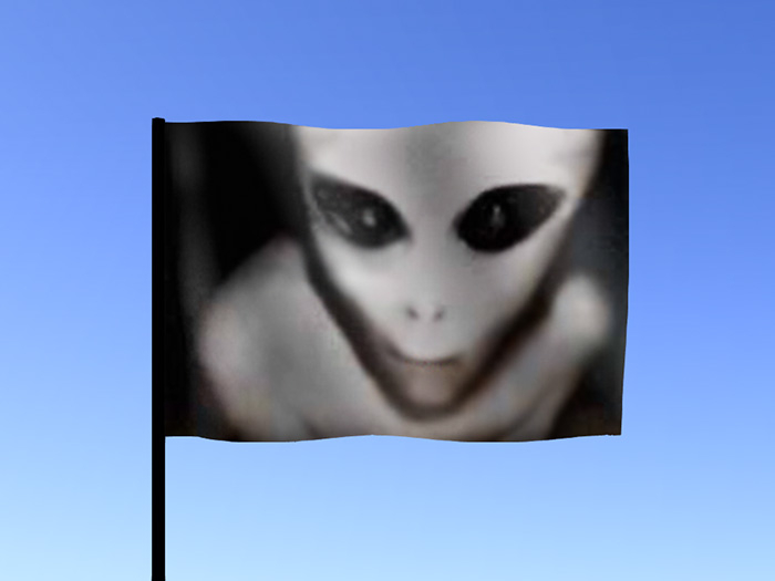 Gray Alien Flag