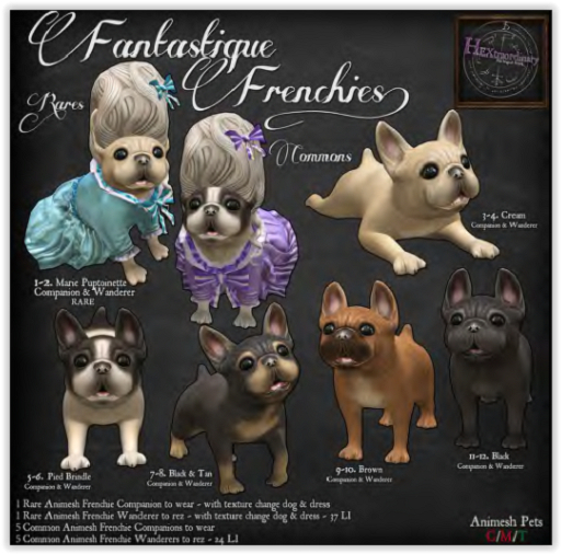 *HEXtraordinary* Pied Brindle Frenchie Companion 
