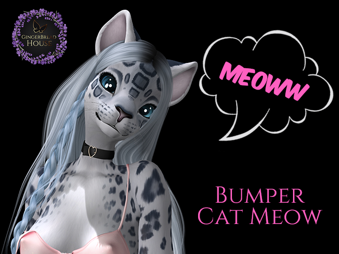 Bumper Cat Meow