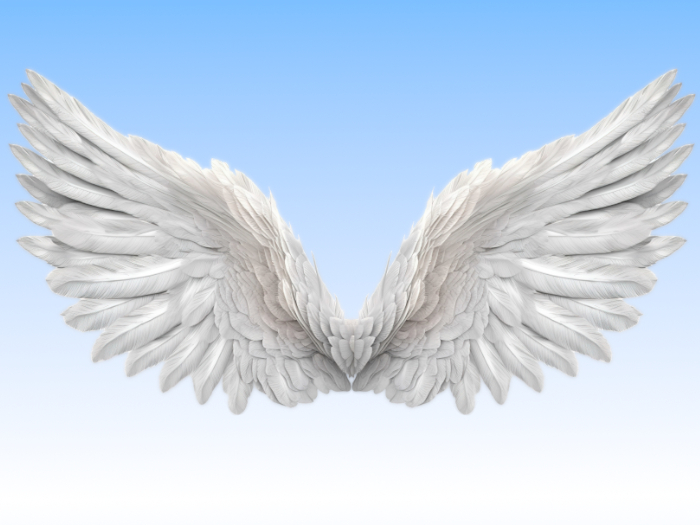 [Anima] Angel Wings Azrael