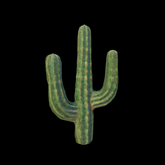 {S} Full Perm Tall Desert Cacti 01