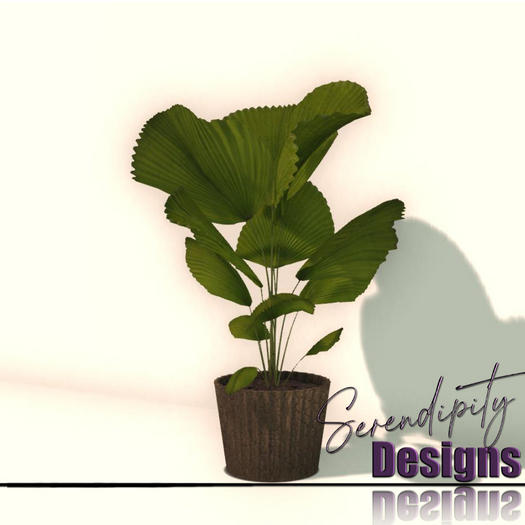 Serendipity Designs - Roanoke LR Potted Palm