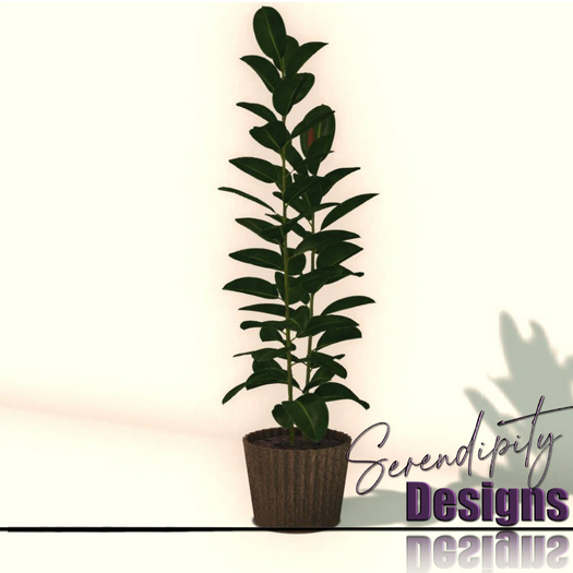 Serendipity Designs - Roanoke LR Potted Fig 