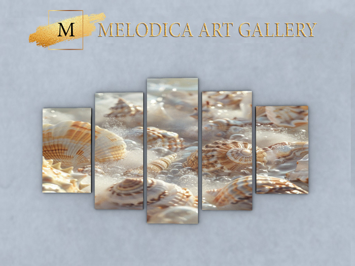 Sea Shells Pictures Wall Decor