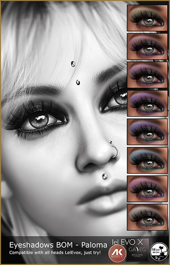 ~Meow Meow~ Demo Eyeshadows Paloma BOM LeLEvox - box
