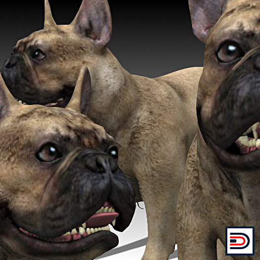[Danielito] Tan French Bulldog