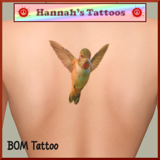 Hummingbird Back
