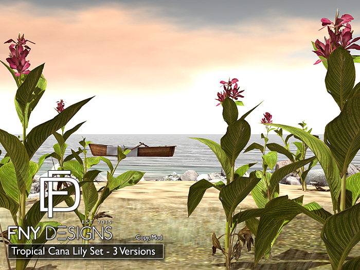 :FNY: Designs - Tropical Cana Lily Set
