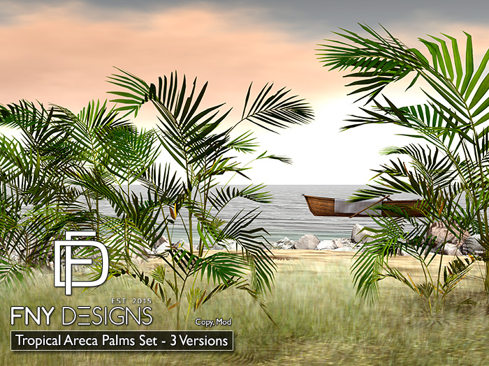 :FNY: Designs - Tropical Areca Palms Set