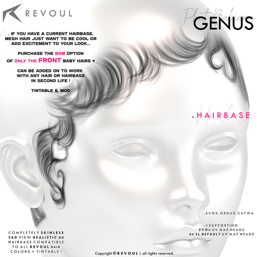 REVOUL - 'Phat Babiana' BASES, GENUS SLUV /ONLY FRONT/ (add me)