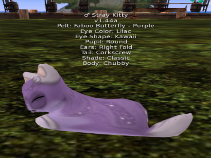 Stray Cats Kitten - Stray Kitty (M)