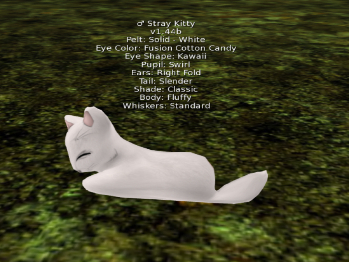 Stray Cats Kitten - Stray Kitty (M)