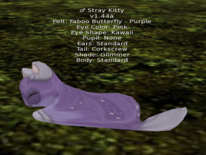 Stray Cats Kitten - Stray Kitty (M)