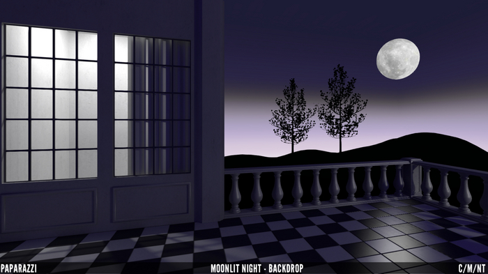 Paparazzi - BACKDROP - Moonlit Night 2