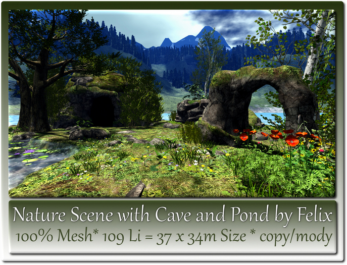 Nature Scene with Cave and Pond by Felix 37x34m=109Li c+m