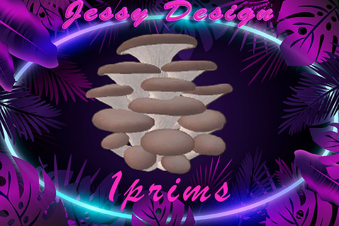 champignon beige