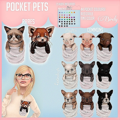 .Birdy. Pocket pet {Frenchy} Gray [BOX] 6