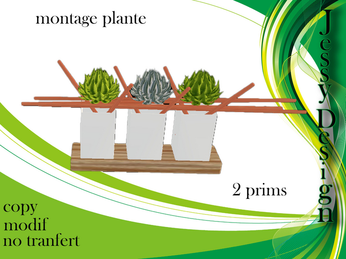 deco succulente