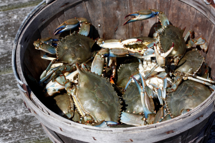 DFS Crab Bucket