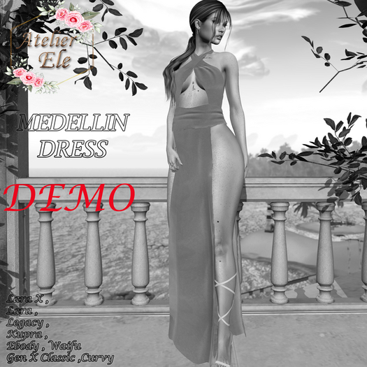 {AE} [ DEMO ]  MEDELLIN DRESS