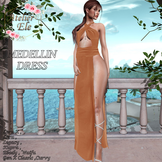 {AE} MEDELLIN DRESS