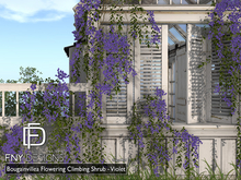 :FNY: Designs - Bougainvillea Set - Violet