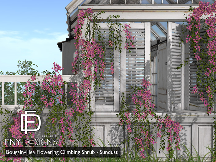 :FNY: Designs - Bougainvillea Set - Sundust