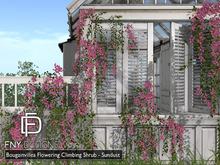:FNY: Designs - Bougainvillea Set - Sundust