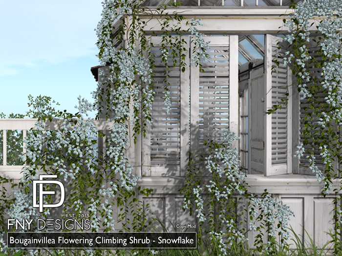 :FNY: Designs - Bougainvillea Set - Snowflake