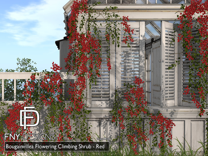 :FNY: Designs - Bougainvillea Set - Red
