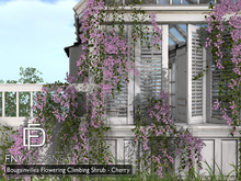 :FNY: Designs - Bougainvillea Set - Cherry