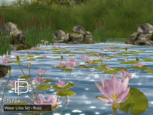 .FNY. Designs - Water Lilies Set ROSE