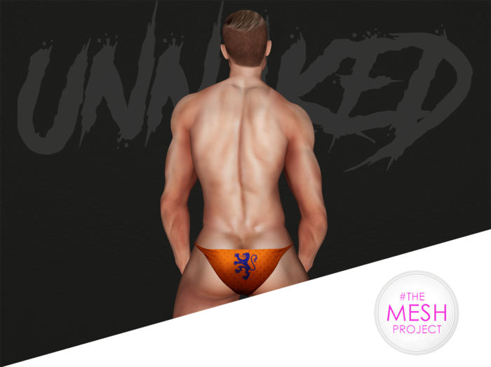 UNNAKED / SPEEDO / MESHBODY CLASSIC / WORLD CUP - NETHERLANDS