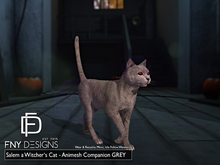 :FNY: Designs - Salem a Witcher's Cat Animesh - Grey